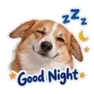 Realistic photo sticker pack