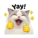 Silly Meme sticker pack