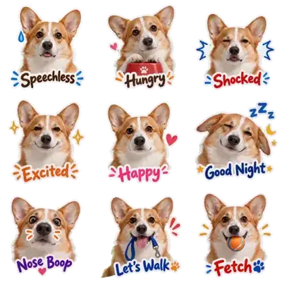 Realistic photo sticker pack: nine matching stickers made from one photo