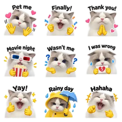 Silly Meme sticker pack: nine matching stickers made from one photo